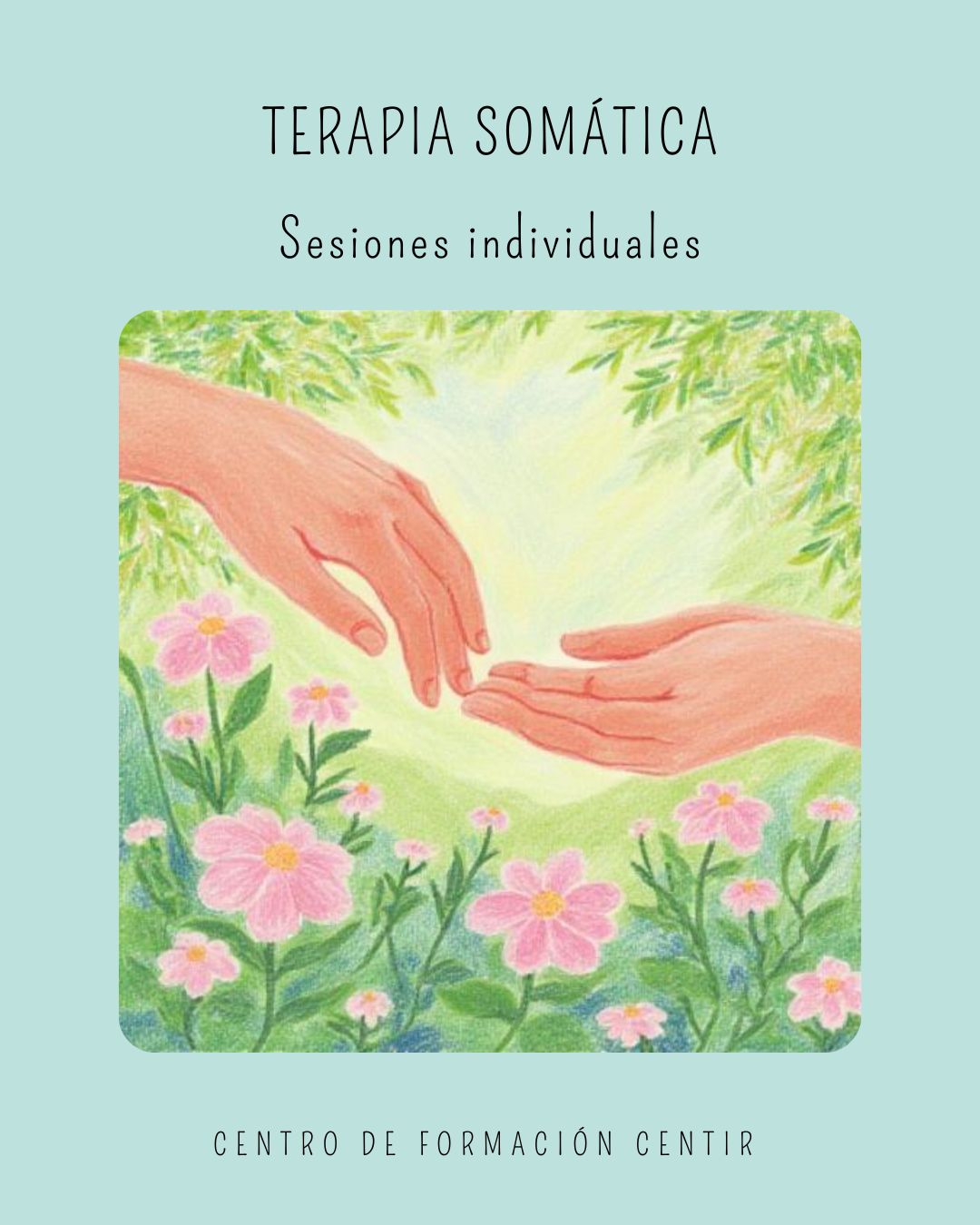 Sesiones individuales de Terapia Somática
